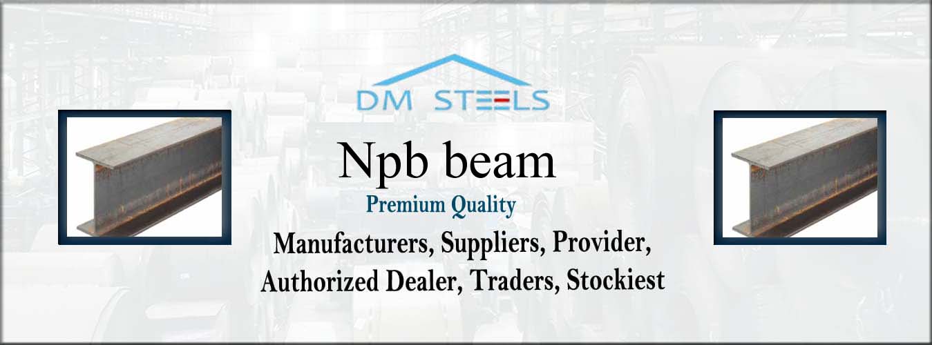 Npb Beam Provider